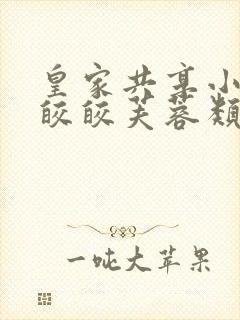 皇家共享小公主皎皎芙蓉类小说