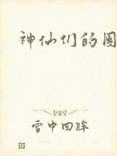 神仙们的团宠封面