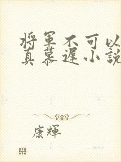 将军不可以魏云真慕迟小说笔趣阁封面