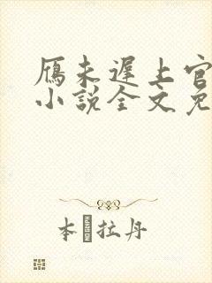 雁未迟上官穿越小说全文免费阅读