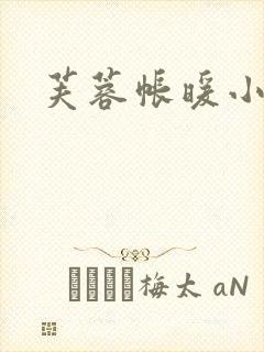 芙蓉帐暖小说