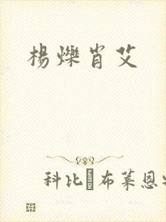 杨烁肖艾封面