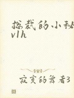 总裁的小秘书1v1h