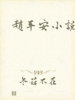 赵平安小说主角
