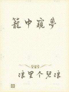 笼中窥梦