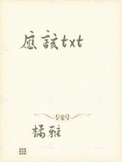应该txt