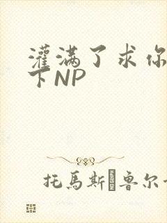 灌满了求你们停下NP