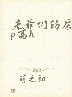 老爷们的床奴np高h