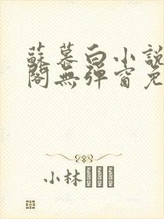 苏慕白小说笔趣阁无弹窗免费阅读