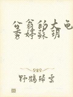 公翁的大龟挺进秀婷苏玥