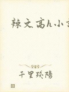 辣文高h小说