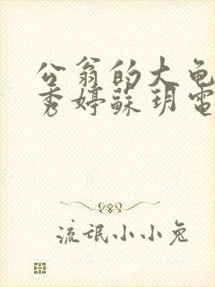 公翁的大龟挺进秀婷苏玥电影