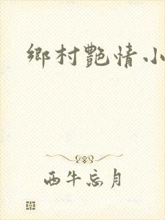 乡村艳情小说