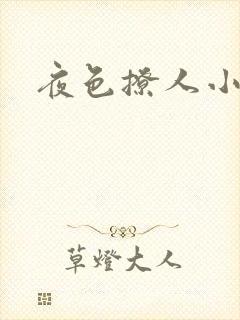 夜色撩人小说