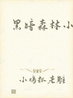 黑暗森林小说