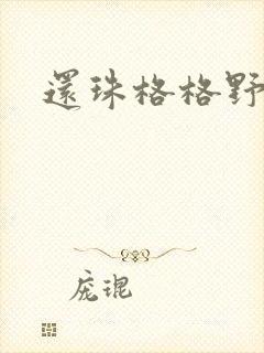 还珠格格野传