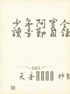 少年阿宾全文阅读章节目录