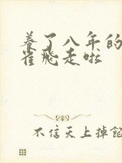 养了八年的金丝雀飞走啦