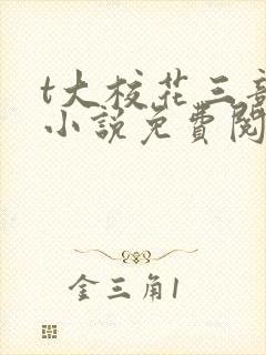 t大校花三部曲小说免费阅读全文封面