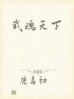 武魂天下封面
