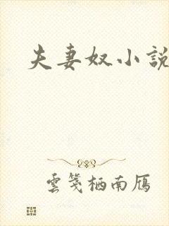 夫妻奴小说