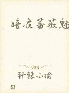 暗夜蔷薇魅封面