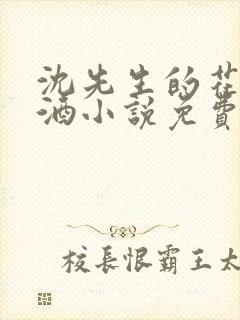 沈先生的花式调酒小说免费阅读