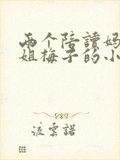 两个陪读妈妈赵姐梅子的小说封面