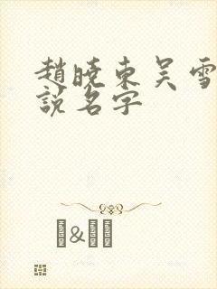 赵晓东吴雪晴小说名字