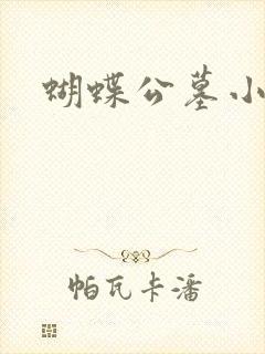 蝴蝶公墓小说