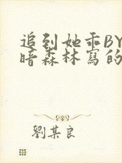 追到她乖BY黑暗森林写的小说