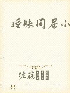 暧昧同居小说