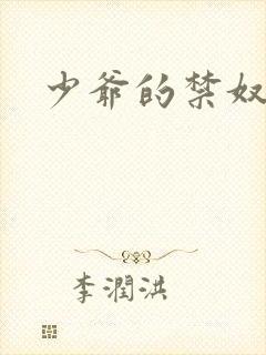 少爷的禁奴