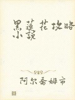 黑莲花攻略手册小说