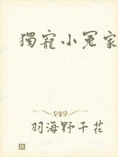 独宠小冤家封面