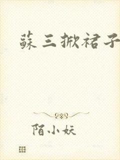 苏三掀裙子封面