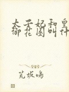 太子妃和皇帝在御花园叫什么小说