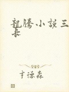 龙腾小说三宝局长封面