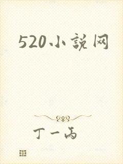 520小说网