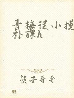 青梅从小摸到大补课h