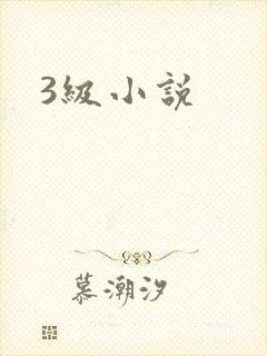 3级小说