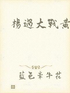 杨过大战黄蓉