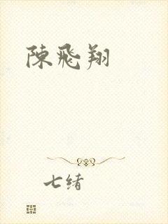 陈飞翔封面