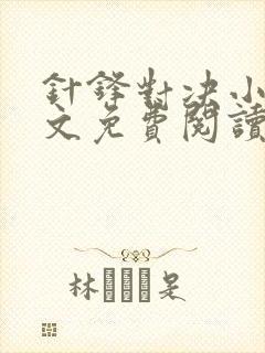 针锋对决小说全文免费阅读完整版封面