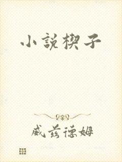 小说楔子
