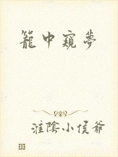 笼中窥梦