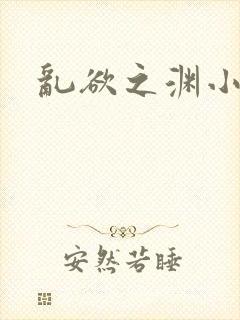 乱欲之渊小说
