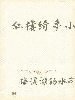 红楼绮梦小说