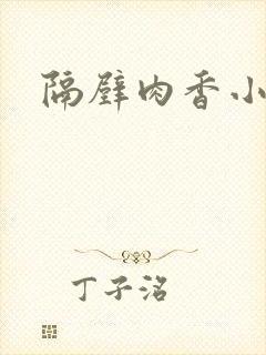隔壁肉香小说
