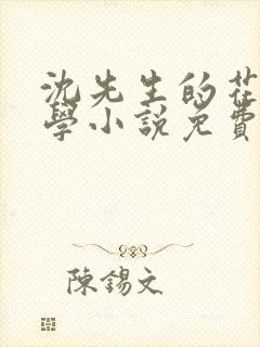 沈先生的花式教学小说免费